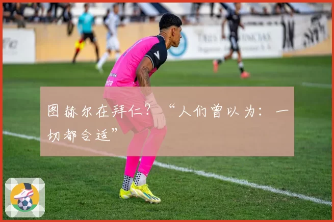 图赫尔在拜仁？“人们曾以为：一切都合适”