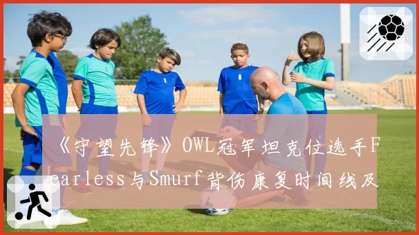 《守望先锋》OWL冠军坦克位选手Fearless与Smurf背伤康复时间线及对战队影响对比