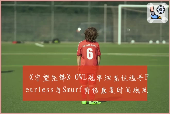 《守望先锋》OWL冠军坦克位选手Fearless与Smurf背伤康复时间线及对战队影响对比