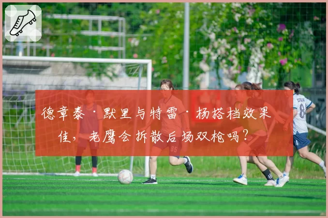 德章泰·默里与特雷·杨搭档效果不佳，老鹰会拆散后场双枪吗？